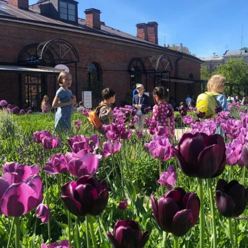 Детская интерактивная экскурсия по Новой Голландии 