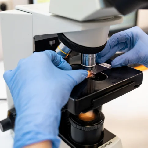 Комплексное обследование организма «Здоровые волосы»