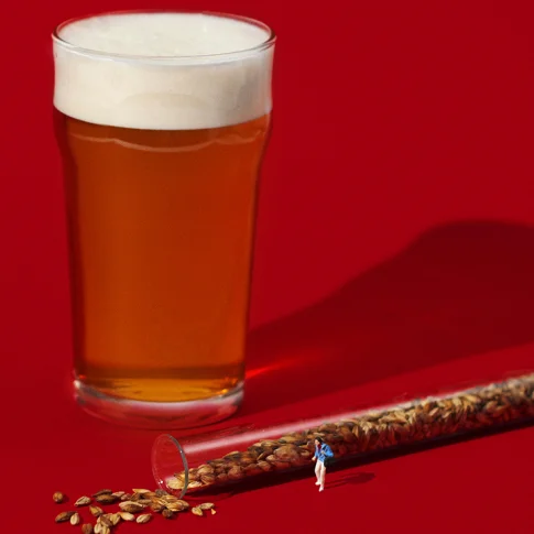 Лекция-дегустация пива