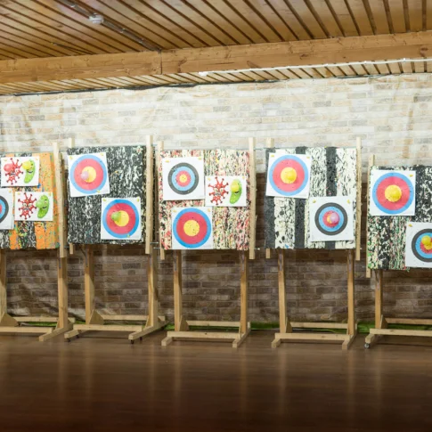 Стрельба из пневматического оружия