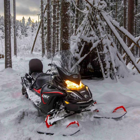 Катание на двухместном канадском снегоходе