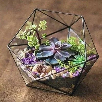 Мастер-класс по созданию флорариума